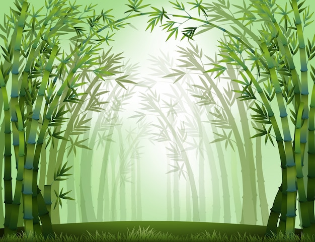 Bezpłatny wektor bambus
