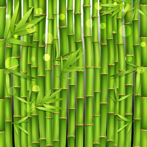 Bambusowy Orientalny Bezszwowy wzór