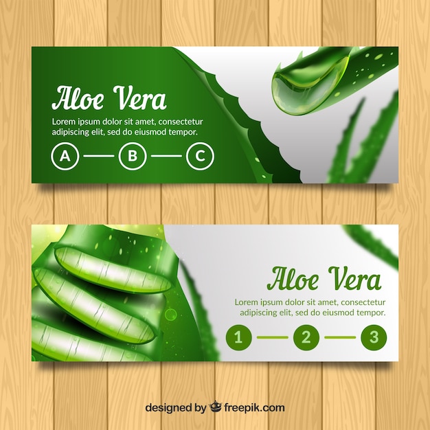 Banery Aloe vera w realistycznym stylu