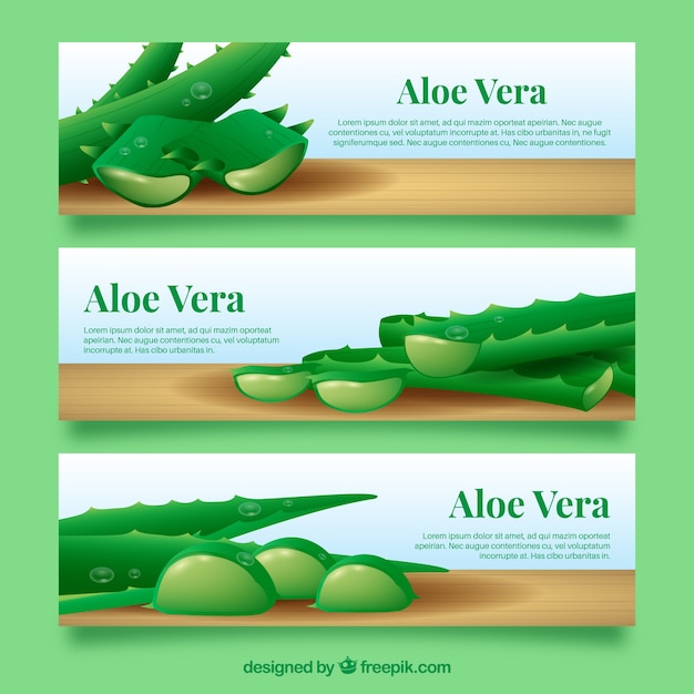 Banery Aloe Vera