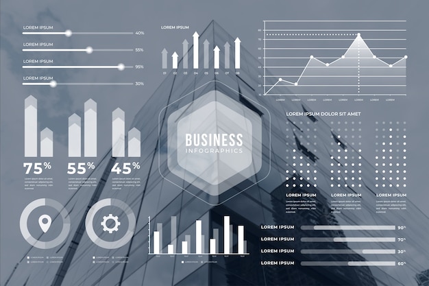 Biznesowa Infographic Z Fotografią