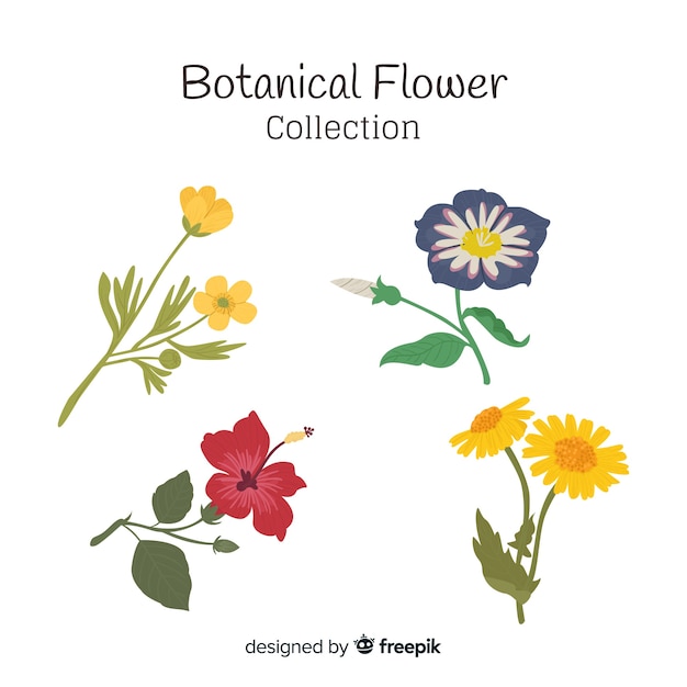 Bezpłatny wektor botaniczna kolekcja kwiatów