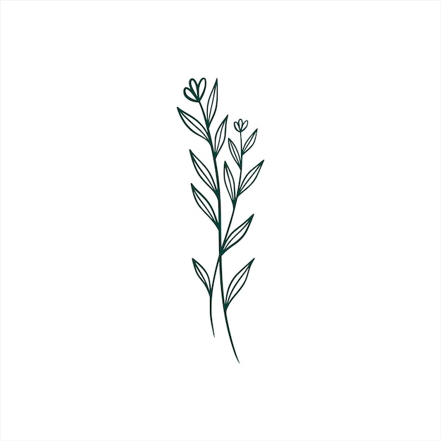 Botaniczny liść doodle wildflower linia sztuki