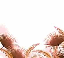 Bezpłatny wektor brązowe tropikalne liście różnych roślin na białym tle realistyczne ilustracji wektorowych