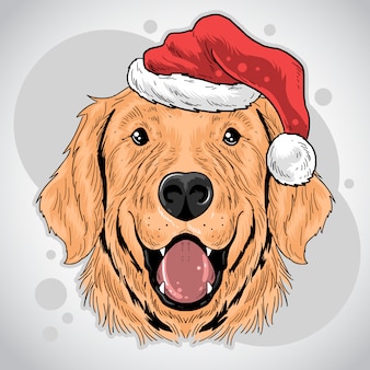 Christmas dog santa claus hat