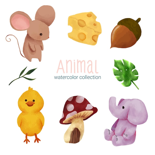 Cute Animals akwarela dla dzieci edukacja Edukacyjna nauka w wieku przedszkolnym rodzaj zwierzęcia i litery Kreskówka wektor akwareli ilustracji