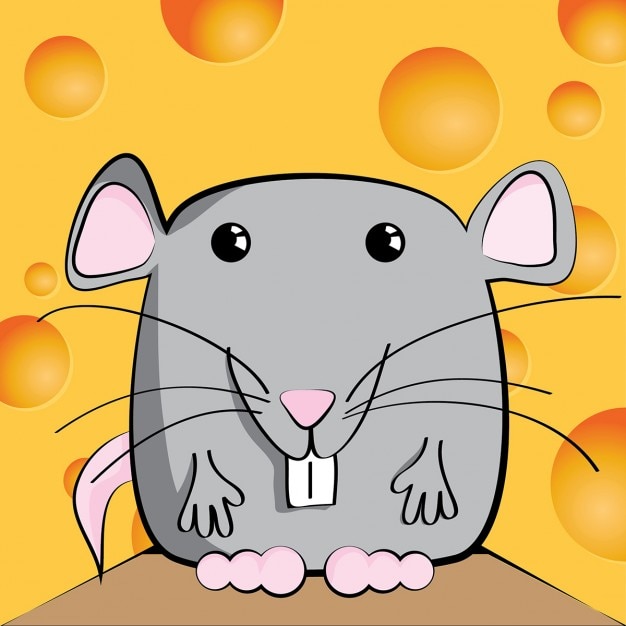 cute myszy