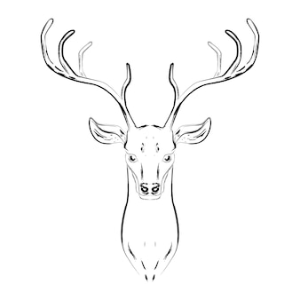 Czarno-biała ilustracja głowy jelenia