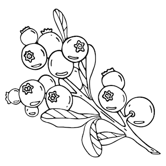 Doodle ilustracja jagód