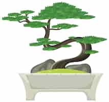Bezpłatny wektor drzewo bonsai w doniczce na białym tle
