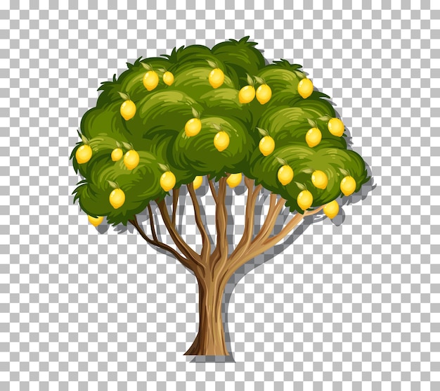 Drzewo cytrynowe na przezroczystym tle