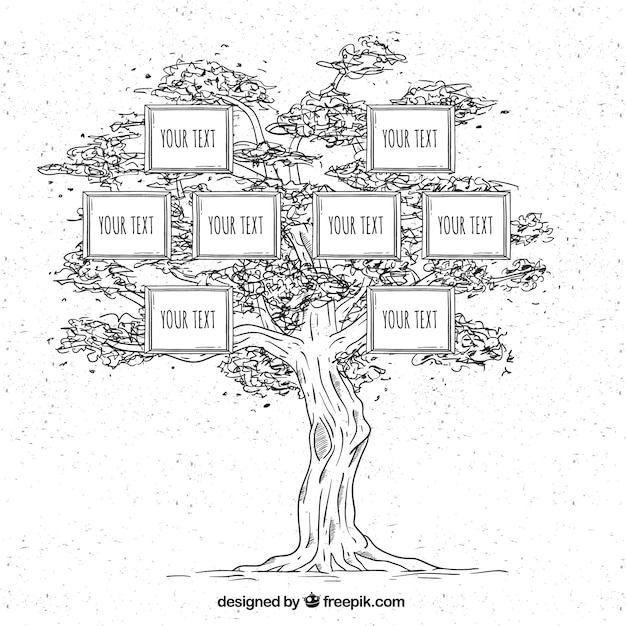 Bezpłatny wektor drzewo genealogiczne ręcznie rysowane w stylu vintage