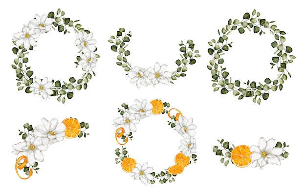 Duży botaniczny zestaw dzikich kwiatów zestaw oddzielnych części i zebranie razem w piękny bukiet kwiatów w stylu akwareli na białym tle płaskiej ilustracji wektorowych