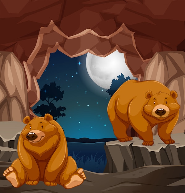 Dwa Brązowe Niedźwiedzie W Jaskini