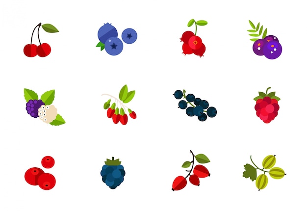 Dzikie i uprawiane jagody zestaw ikon