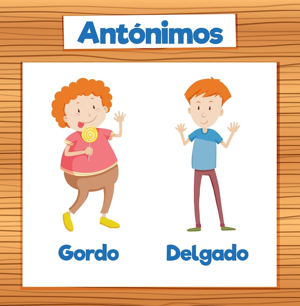 Bezpłatny wektor edukacja antonimy gordo i delgado w języku hiszpańskim tłusty i chudy