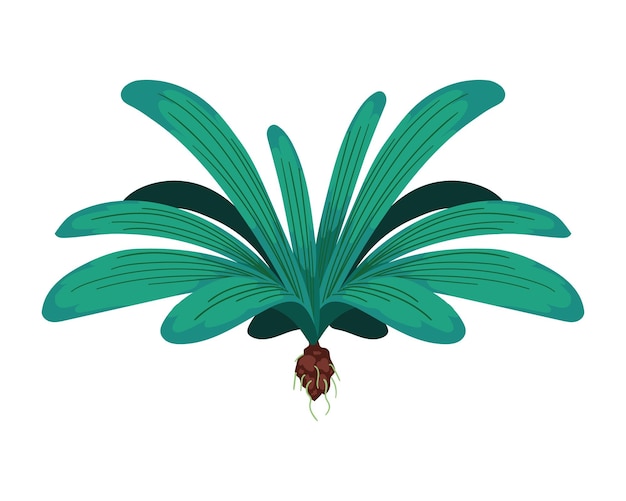 Bezpłatny wektor egzotyczna roślina liściasta i korzeń izolowana ikona