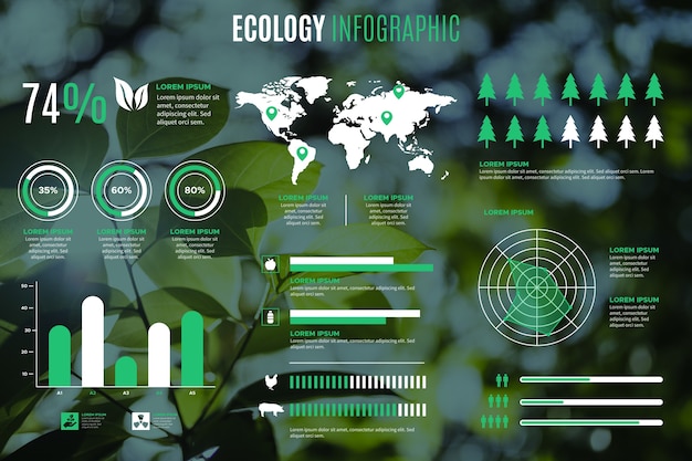 Bezpłatny wektor ekologia infographic szablon ze zdjęciem