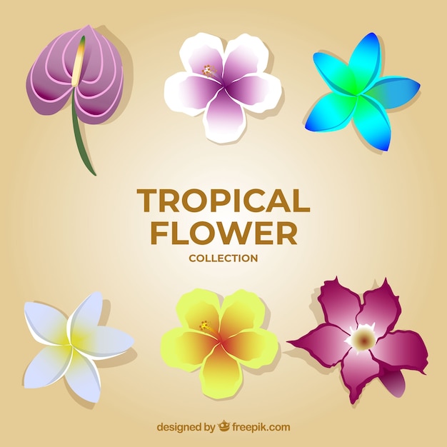 Bezpłatny wektor elegancka kolekcja tropikalnych kwiatów