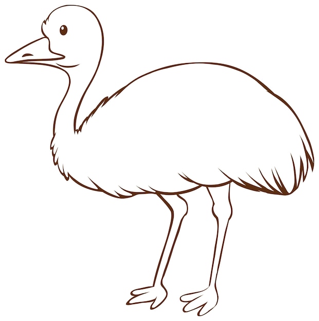 Emu W Prostym Stylu Doodle Na Białym Tle