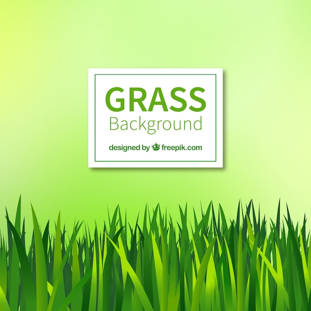 Bezpłatny wektor fantastyczne tło z realistyczną zielonej trawie