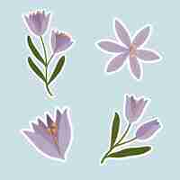 Bezpłatny wektor fioletowy kwiat krokusa wektor zestaw