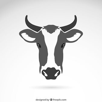 Głowa krowy