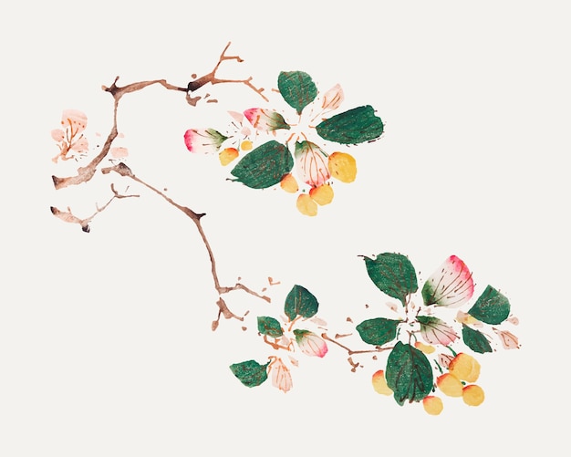 Grafika botaniczna z owocami, zremiksowana z dzieł Hu Zhengyan