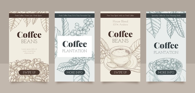 Bezpłatny wektor grawerowanie historii na instagramie o plantacji kawy