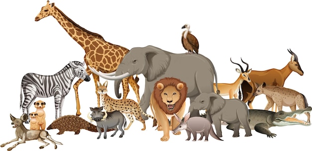 Grupa dzikich zwierząt afrykańskich na białym tle