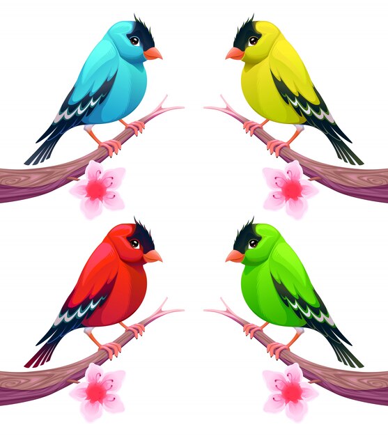 Grupa ptaków w różnych odcieniach kolorystycznych Vector cartoon odizolowane znaków