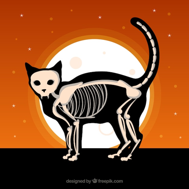 Bezpłatny wektor halloween tła z kot i szkielet
