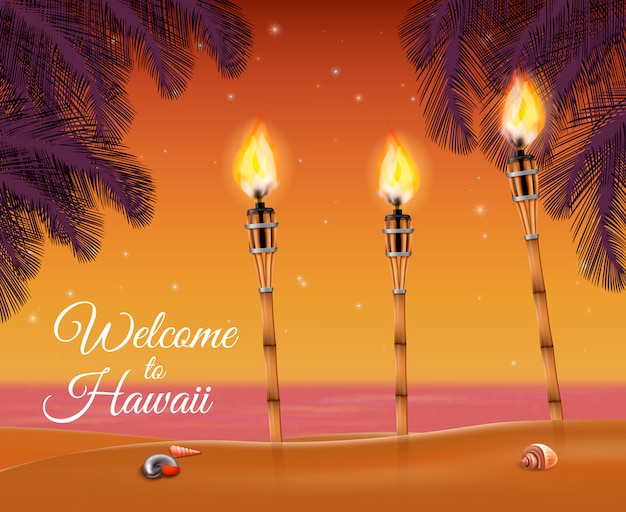 Hawaii Beach Torch