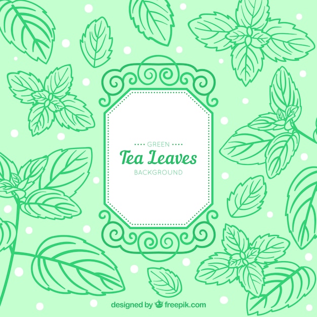 Bezpłatny wektor herbata tło z liści