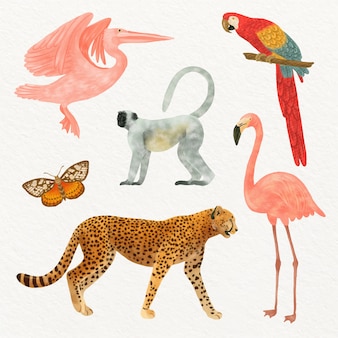 Ilustracja akwarela dzikich zwierząt