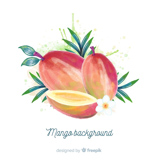 Bezpłatny wektor ilustracja akwarela mango