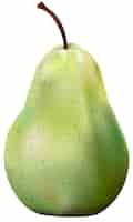 Bezpłatny wektor ilustracja jabłko odizolowywająca na białym tle
