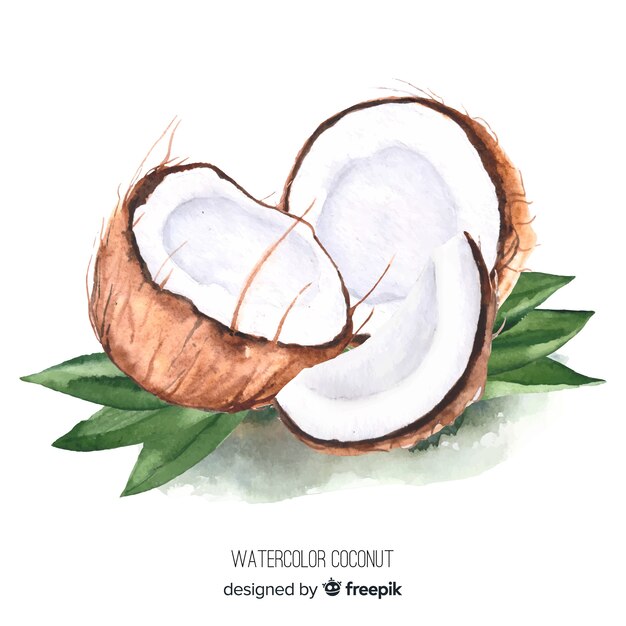 Ilustracja kokosowy akwarela