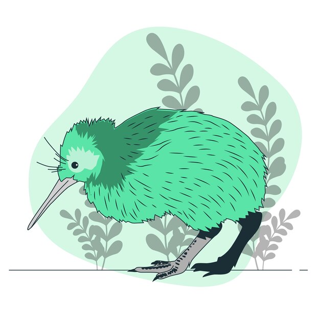 Ilustracja koncepcja ptaka kiwi