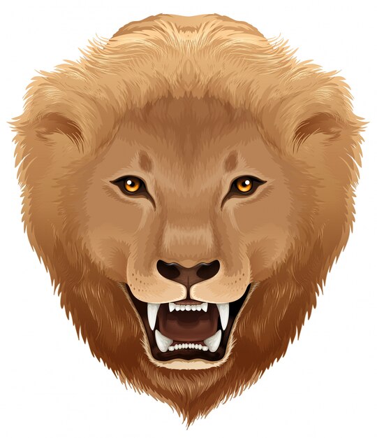 Ilustracja Lew - gatunki Pathera leo