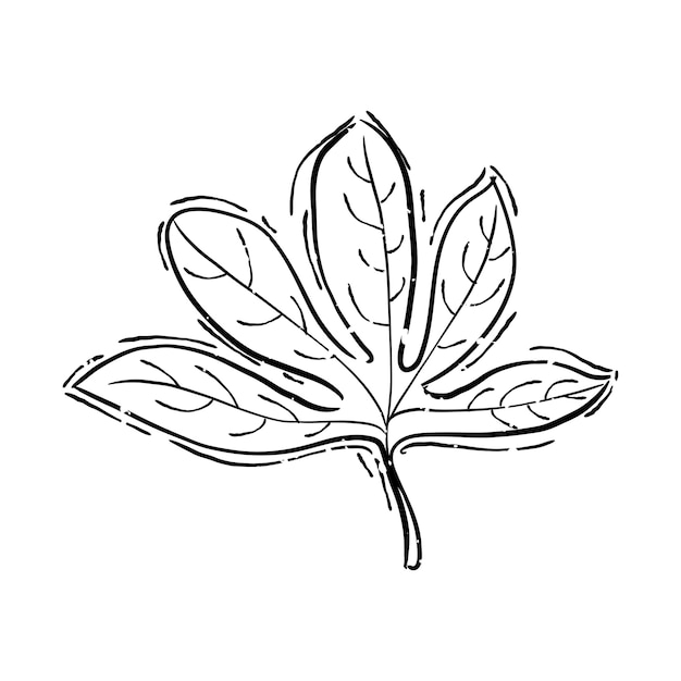Bezpłatny wektor ilustracja roślin
