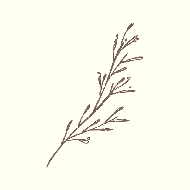 Ilustracja roślin