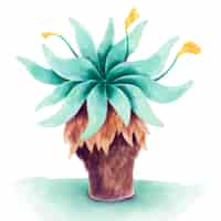 Bezpłatny wektor ilustracja roślina akwarela frailejon