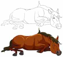 Bezpłatny wektor ilustracja wektora konia w spoczynku