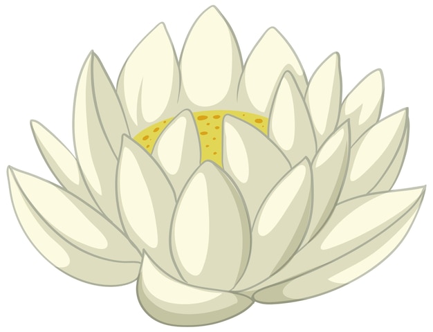 Bezpłatny wektor ilustracja wektorowa serene white lotus