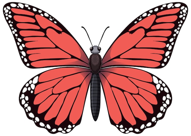 Ilustracja Wektorowa żyjącego Czerwonego Motyla