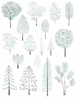 Bezpłatny wektor ilustracja z kolekcji drzew sosnowych