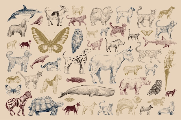 Bezpłatny wektor ilustracyjny rysunek styl zwierzęca kolekcja