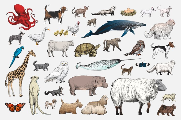 Bezpłatny plik Wektor ilustracyjny rysunek styl zwierzęca kolekcja
