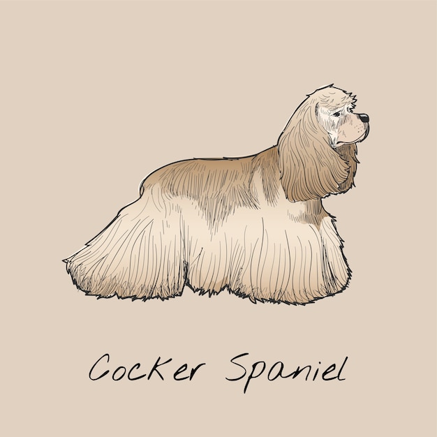Bezpłatny wektor ilustracyjny rysunku styl pies